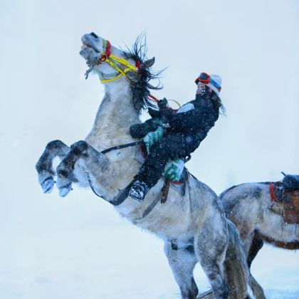 呼和浩特+辉腾锡勒草原+乌兰哈达火山地质公园4日3晚私家团 呼和浩特+辉腾锡勒草原+乌兰哈达火山地质公园4日3晚私家团