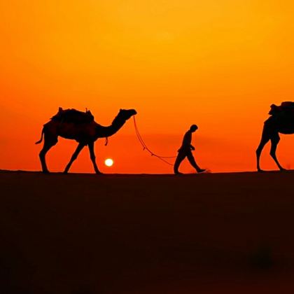 摩洛哥马拉喀什-萨菲大区+舍夫沙万+撒哈拉沙漠7日5晚私家团 摩洛哥马拉喀什-萨菲大区+舍夫沙万+撒哈拉沙漠7日5晚私家团