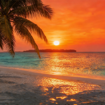 新加坡+民丹岛3日2晚跟团游 新加坡+民丹岛3日2晚跟团游