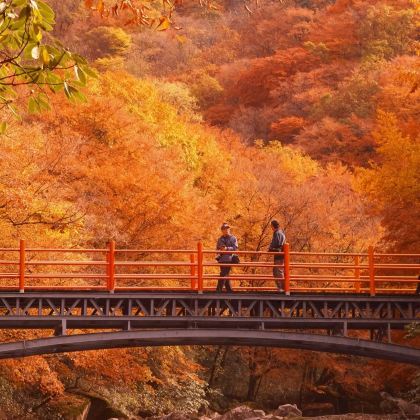 陕西汉中+光雾山旅游景区+情人谷4日3晚跟团游 陕西汉中+光雾山旅游景区+情人谷4日3晚跟团游