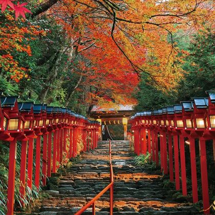 京都贵船神社+岚山+三千院一日游 京都贵船神社+岚山+三千院一日游