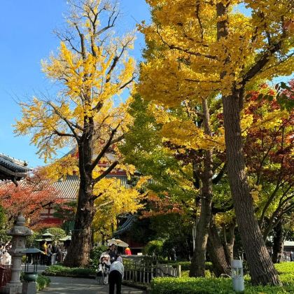 【IN东京】江户风情+金运·小網神社+百年鲷鱼烧半日漫步 【IN东京】江户风情+金运·小網神社+百年鲷鱼烧半日漫步