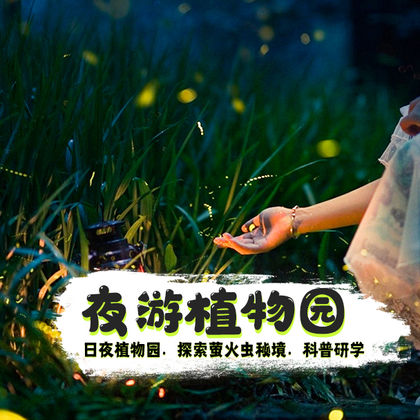 西双版纳中科院西双版纳热带植物园夜游