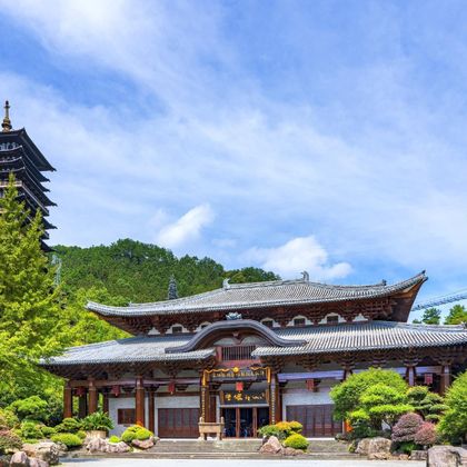 根宫佛国文化旅游区+钱江源国家森林公园一日游 根宫佛国文化旅游区+钱江源国家森林公园一日游