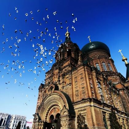 哈尔滨中央大街+圣索菲亚大教堂一日活动