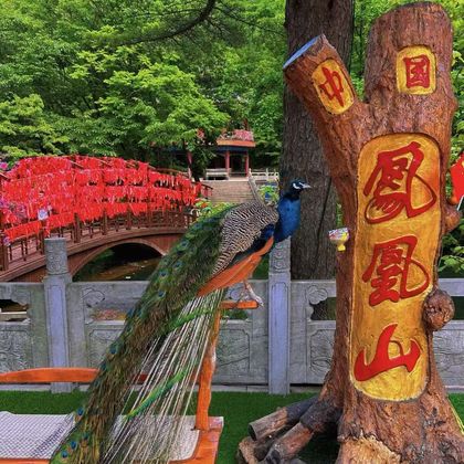 丹东凤凰山一日游 丹东凤凰山一日游