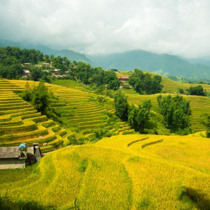 沙巴私人包车服务 – 半日游和全日游,配备英语司机 沙巴私人包车服务 – 半日游和全日游,配备英语司机