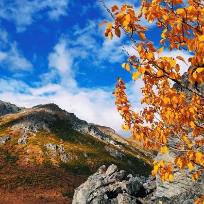 美国费尔班克斯迪纳利国家公园+尼纳纳小镇【中文私享定制包车】 美国费尔班克斯迪纳利国家公园+尼纳纳小镇【中文私享定制包车】