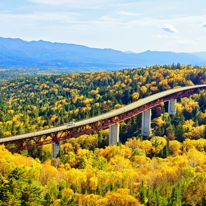 北海道丨带广出发:三国峠+然别湖+十胜牧场白桦大道+高原牧场 北海道丨带广出发:三国峠+然别湖+十胜牧场白桦大道+高原牧场