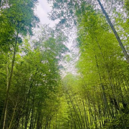 广州 | 从化&溪头村+千泷沟瀑布 | 包车日游&地陪 广州 | 从化&溪头村+千泷沟瀑布 | 包车日游&地陪