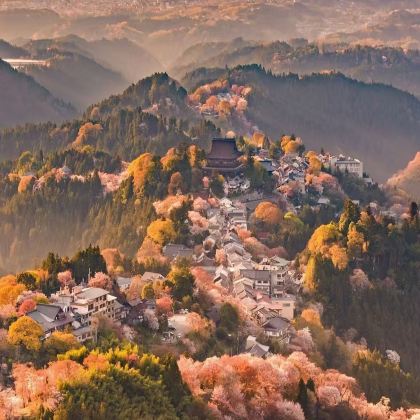 【吉野山】奈良公园+萌鹿+唐招提寺+吉野山赏樱包车一日游 【吉野山】奈良公园+萌鹿+唐招提寺+吉野山赏樱包车一日游