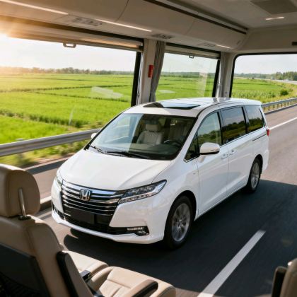 【直通车】南通森林野生动物园·南通森迪旅游度假区单程 【直通车】南通森林野生动物园·南通森迪旅游度假区单程
