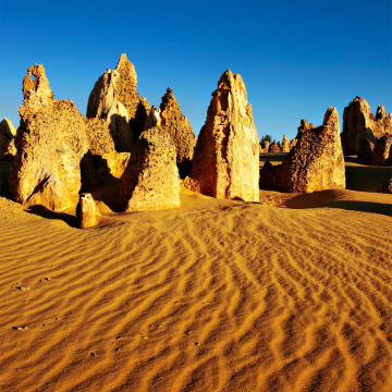 珀斯尖峰石阵+凯维森动物园+四驱车+滑沙+龙虾工厂一日游 珀斯尖峰石阵+凯维森动物园+四驱车+滑沙+龙虾工厂一日游