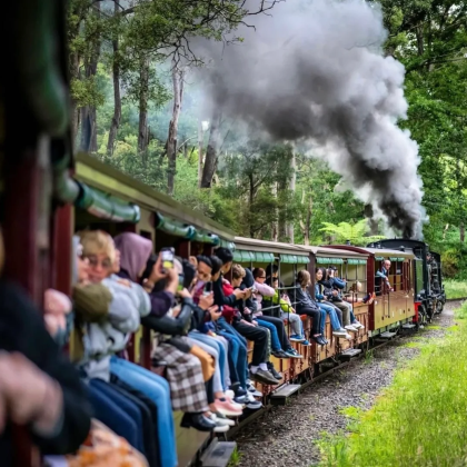 澳大利亚墨尔本普芬比利蒸汽火车+企鹅归巢一日游有位可接急 澳大利亚墨尔本普芬比利蒸汽火车+企鹅归巢一日游有位可接急