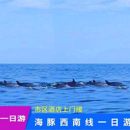 济州岛一日游海豚海岸道路西南线一日游小羊肖恩+挟才+追海豚 济州岛一日游海豚海岸道路西南线一日游小羊肖恩+挟才+追海豚