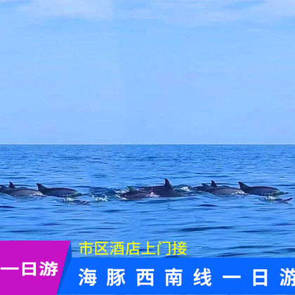 济州岛一日游海豚海岸道路西南线一日游小羊肖恩+挟才+追海豚 济州岛一日游海豚海岸道路西南线一日游小羊肖恩+挟才+追海豚