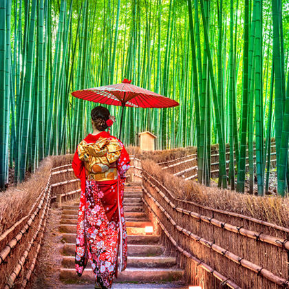 日本大阪府京都清水寺一日游