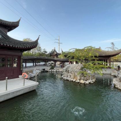 山东寿光市博物馆+墨龙书院+中华牡丹园包车一日游可英文服务 山东寿光市博物馆+墨龙书院+中华牡丹园包车一日游可英文服务