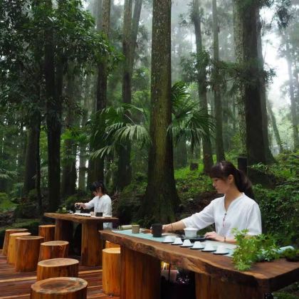 森林与晨曦的約定~阿里山国家风景区+奋起湖老街一日游 森林与晨曦的約定~阿里山国家风景区+奋起湖老街一日游
