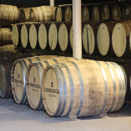 法国波尔多往返-男爵酒庄-金玫瑰酒庄【免费代预约|中文司导】 法国波尔多往返-男爵酒庄-金玫瑰酒庄【免费代预约|中文司导】