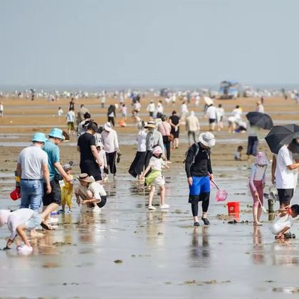 4-6人小包团刘家湾赶海一日游 4-6人小包团刘家湾赶海一日游