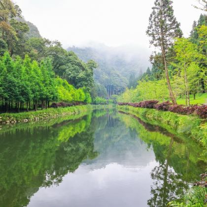 杉林溪森林渡假园区+忘忧森林一日游|可包车 杉林溪森林渡假园区+忘忧森林一日游|可包车
