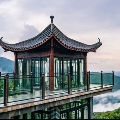 北海丝路越州浦北石祖禅茶园(陈皮产业园) 北海丝路越州浦北石祖禅茶园(陈皮产业园)