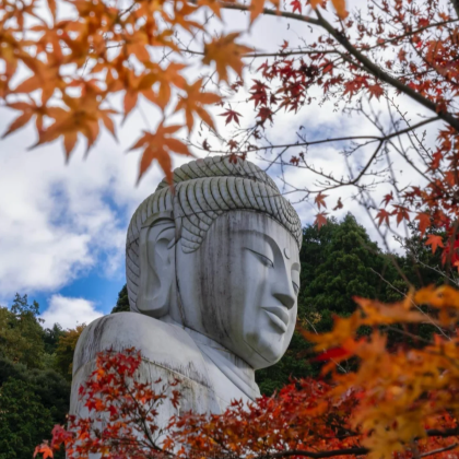【秋季限定赏枫】9人小团·吉野山·壶坂寺·奈良公园小鹿一日游 【秋季限定赏枫】9人小团·吉野山·壶坂寺·奈良公园小鹿一日游