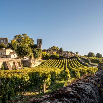 法国波尔多酒庄包车一日游 圣埃美隆产区红酒小镇 中文司机服务 法国波尔多酒庄包车一日游 圣埃美隆产区红酒小镇 中文司机服务