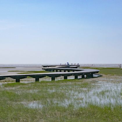 台中+彰化鹿港+高美湿地【台中出发|包车畅游】 台中+彰化鹿港+高美湿地【台中出发|包车畅游】