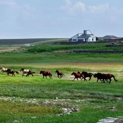 乌兰察布涝利海+乌兰哈达火山1日游【2-6人小团纯玩0购】 乌兰察布涝利海+乌兰哈达火山1日游【2-6人小团纯玩0购】