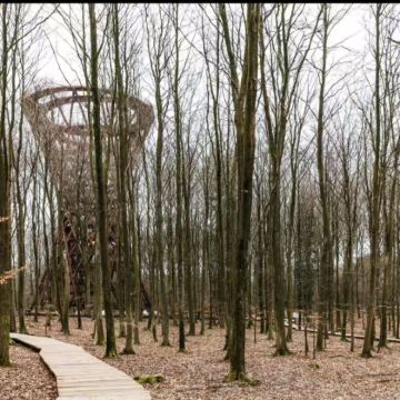 丹麦哥本哈根往返默恩岛白垩悬崖海岸+树冠步道全景自然美学之旅 丹麦哥本哈根往返默恩岛白垩悬崖海岸+树冠步道全景自然美学之旅