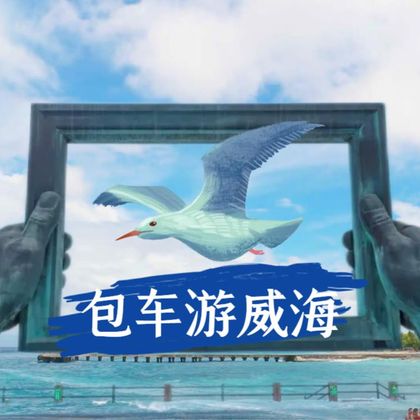 火炬八街+刘公岛+威海市区景点自由组合纯玩包车一日游 火炬八街+刘公岛+威海市区景点自由组合纯玩包车一日游