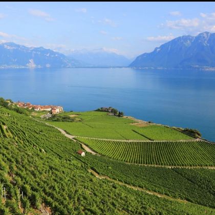 日内瓦湖启程:黄金快车・拉沃酒窖・西庸城堡的浪漫邂逅 日内瓦湖启程:黄金快车・拉沃酒窖・西庸城堡的浪漫邂逅