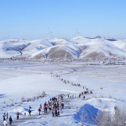 桦皮岭徒步一日游【8公里精华徒步踏雪+森林与雪原的完美结】 桦皮岭徒步一日游【8公里精华徒步踏雪+森林与雪原的完美结】
