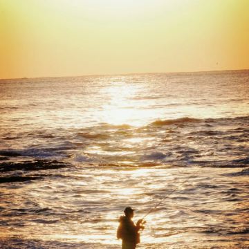 【9人团/酒店接送】日本茨城粉蝶花海岸一日游:大洗磯前神社 【9人团/酒店接送】日本茨城粉蝶花海岸一日游:大洗磯前神社