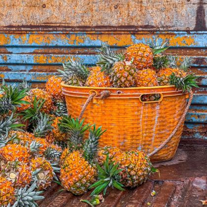 湛江徐闻包车10小时一天游/快速打卡菠萝的海+南极村+合水线 湛江徐闻包车10小时一天游/快速打卡菠萝的海+南极村+合水线