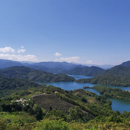 千岛湖+坪林茶业博物馆半日游【下午保证出团】 千岛湖+坪林茶业博物馆半日游【下午保证出团】