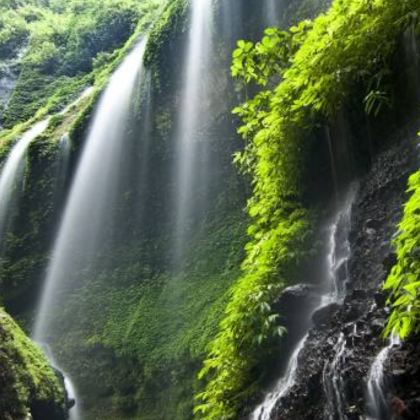 印度尼西亚玛朗出发,乘坐四驱吉普车游览布罗莫火山及马达卡里普拉瀑布 印度尼西亚玛朗出发,乘坐四驱吉普车游览布罗莫火山及马达卡里普拉瀑布