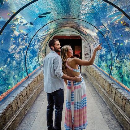 美国拉斯维加斯霓虹博物馆+Sphere+鲨鱼礁水族馆一日游 美国拉斯维加斯霓虹博物馆+Sphere+鲨鱼礁水族馆一日游