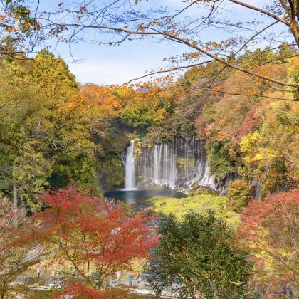 光影与湖山/四季限定:轻井泽湖光枫红艺术游 光影与湖山/四季限定:轻井泽湖光枫红艺术游