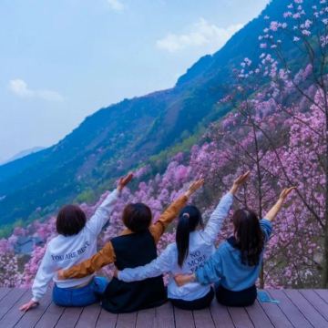 【绵阳】吴家后山辛夷花海+越王楼一日游 纯玩 【绵阳】吴家后山辛夷花海+越王楼一日游 纯玩