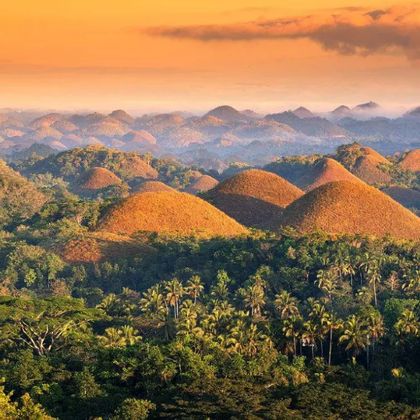 菲律宾薄荷岛巧克力山+菲律宾眼镜猴及野生动物保护区+辛普利蝴蝶保护中心一日游