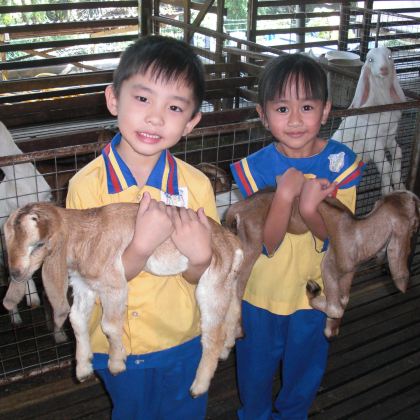 柔佛居銮UK Farm+壁画+咖啡厂日游【包门票】新山出发 柔佛居銮UK Farm+壁画+咖啡厂日游【包门票】新山出发