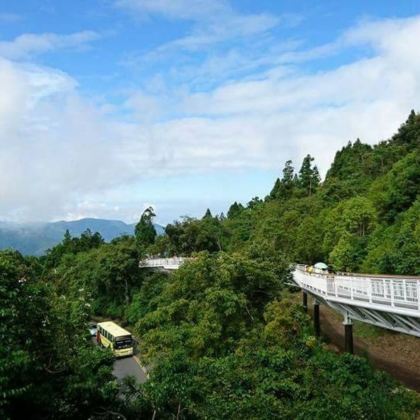 台湾阿里山国家风景区+日月潭+清境农场日游 台湾阿里山国家风景区+日月潭+清境农场日游