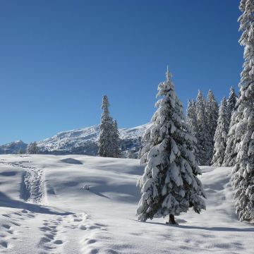 挪威卑尔根+松恩峡湾+艾于兰峡湾|峡湾日游【全境可定制】 挪威卑尔根+松恩峡湾+艾于兰峡湾|峡湾日游【全境可定制】