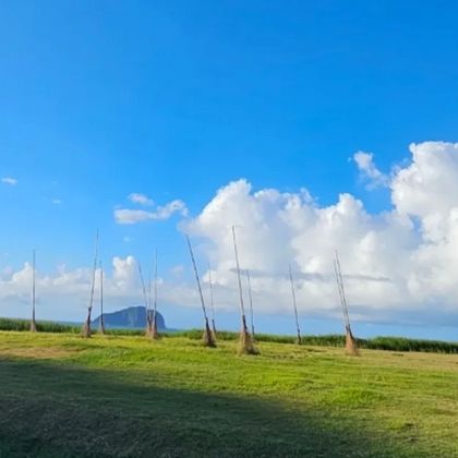 台北北海岸包车一日游(潮境公园+野柳地质公园+淡水渔人码头) 台北北海岸包车一日游(潮境公园+野柳地质公园+淡水渔人码头)