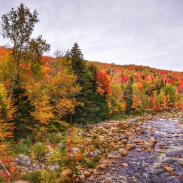 美国波士顿-白山国家森林公园+赏枫公路【中文专车-悦享旅程】 美国波士顿-白山国家森林公园+赏枫公路【中文专车-悦享旅程】