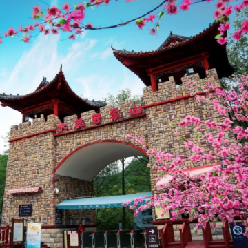 【万亩杜鹃花海】木兰云雾山+武汉市内往返一日游 【万亩杜鹃花海】木兰云雾山+武汉市内往返一日游