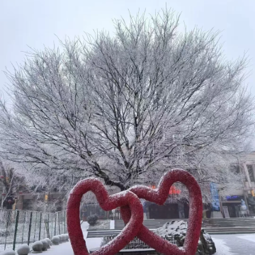 中国湖北+神农架冬季秘境探索1日游 中国湖北+神农架冬季秘境探索1日游